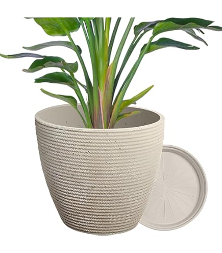 ウィリアムモリス マリーゴールド植木鉢 2個セット 植木鉢　ホワイト imgrc0107341287.jpg